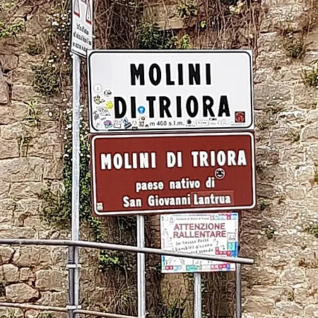 Domus Mea